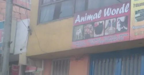 ANIMAL WORDL ANIMAL WORDL